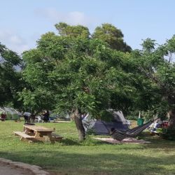 akko guided tour